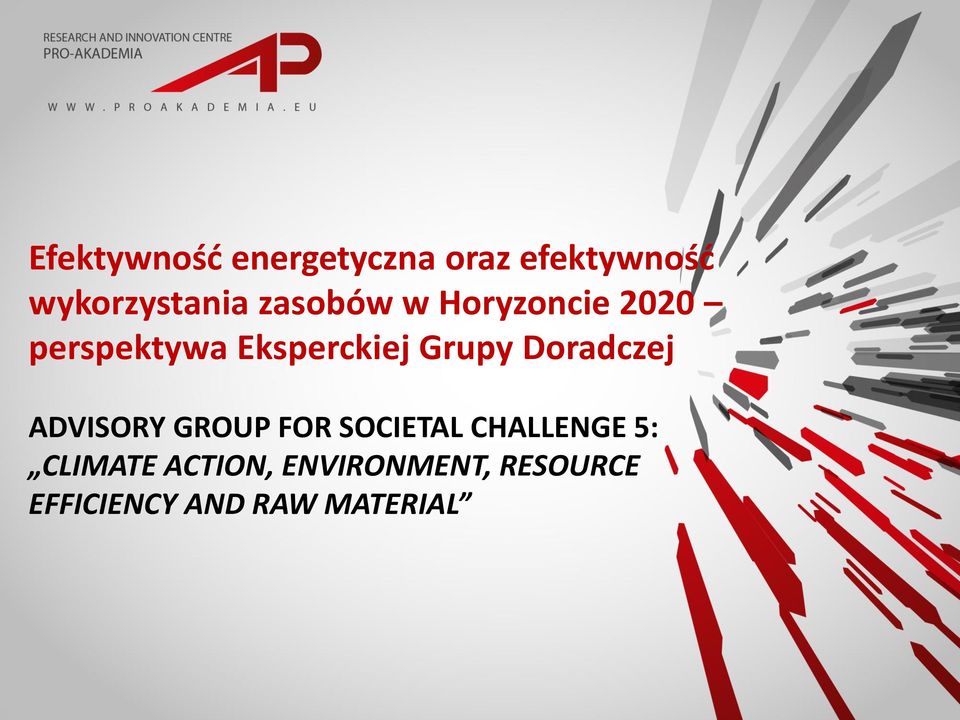 Doradczej ADVISORY GROUP FOR SOCIETAL CHALLENGE 5: