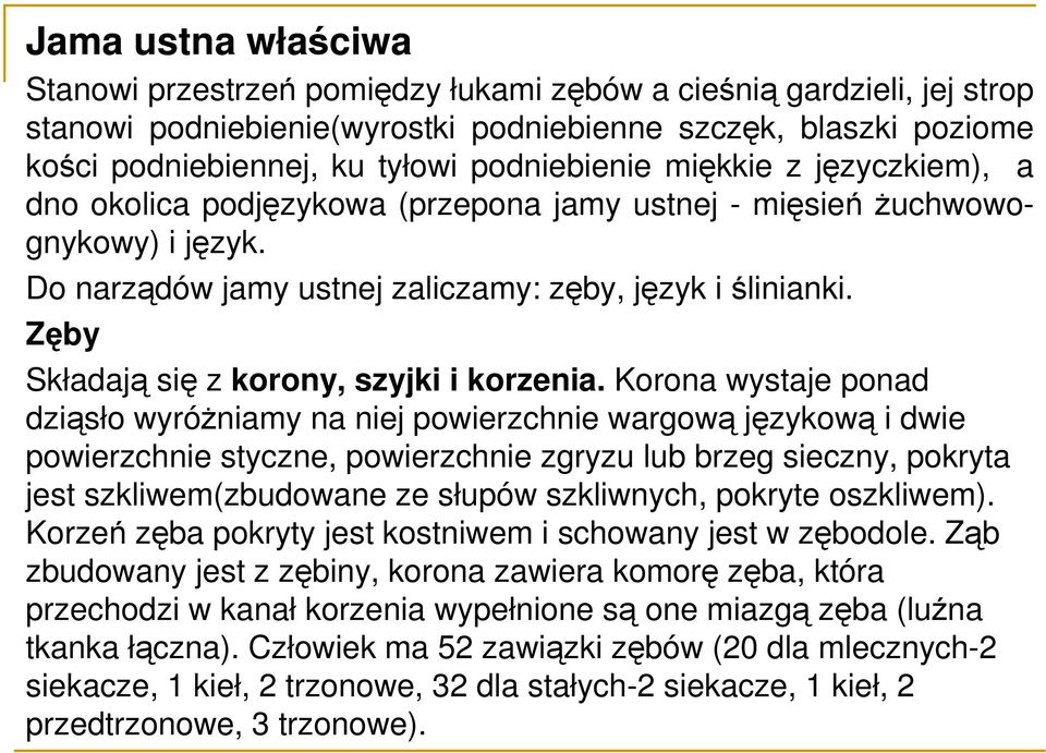 Zęby Składają się z korony, szyjki i korzenia.