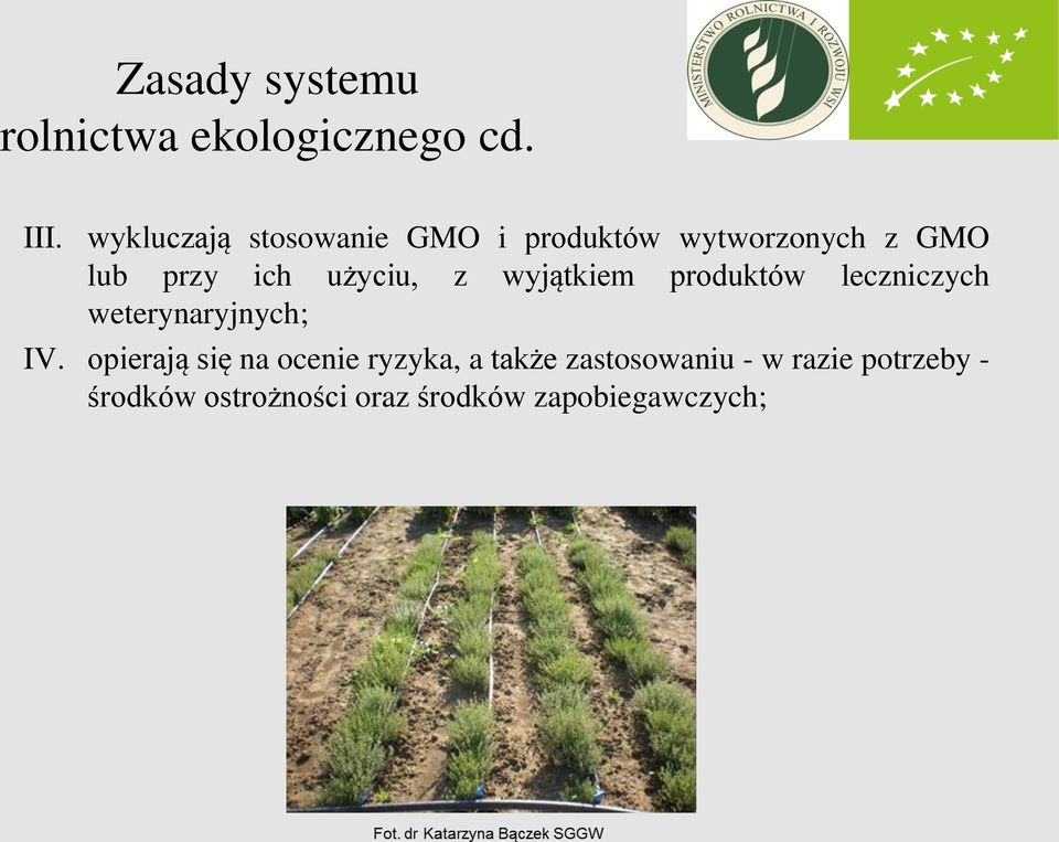 użyciu, z wyjątkiem produktów leczniczych weterynaryjnych; IV.