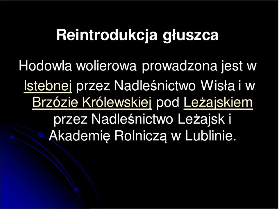 Wisła i w Brzózie Królewskiej pod Leżajskiem