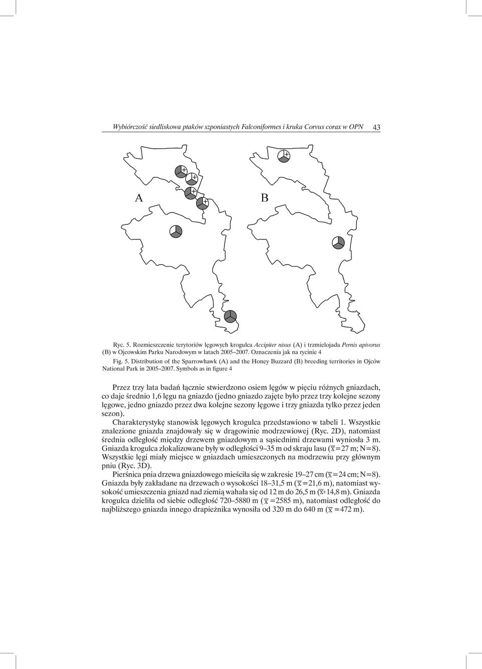 Distribution of the Sparrowhawk (A) and the Honey Buzzard (B) breeding territories in Ojców National Park in 2005 2007.