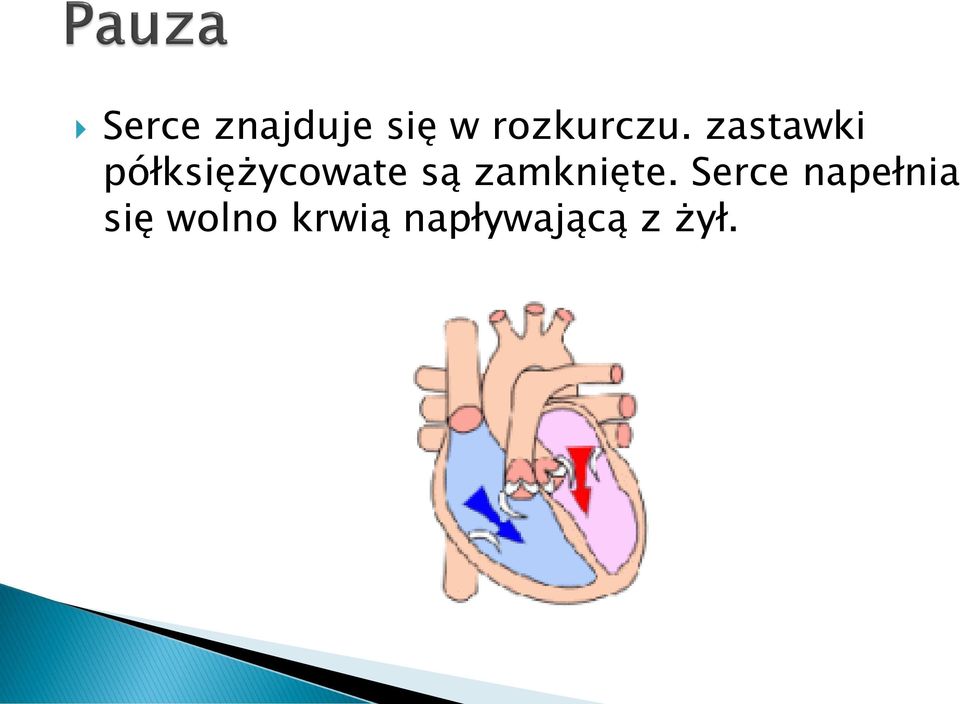 zastawki półksiężycowate są