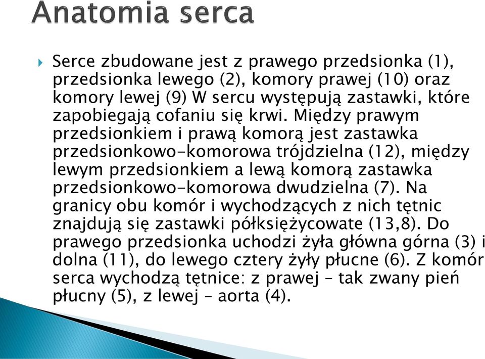 Między prawym przedsionkiem i prawą komorą jest zastawka przedsionkowo-komorowa trójdzielna (12), między lewym przedsionkiem a lewą komorą zastawka