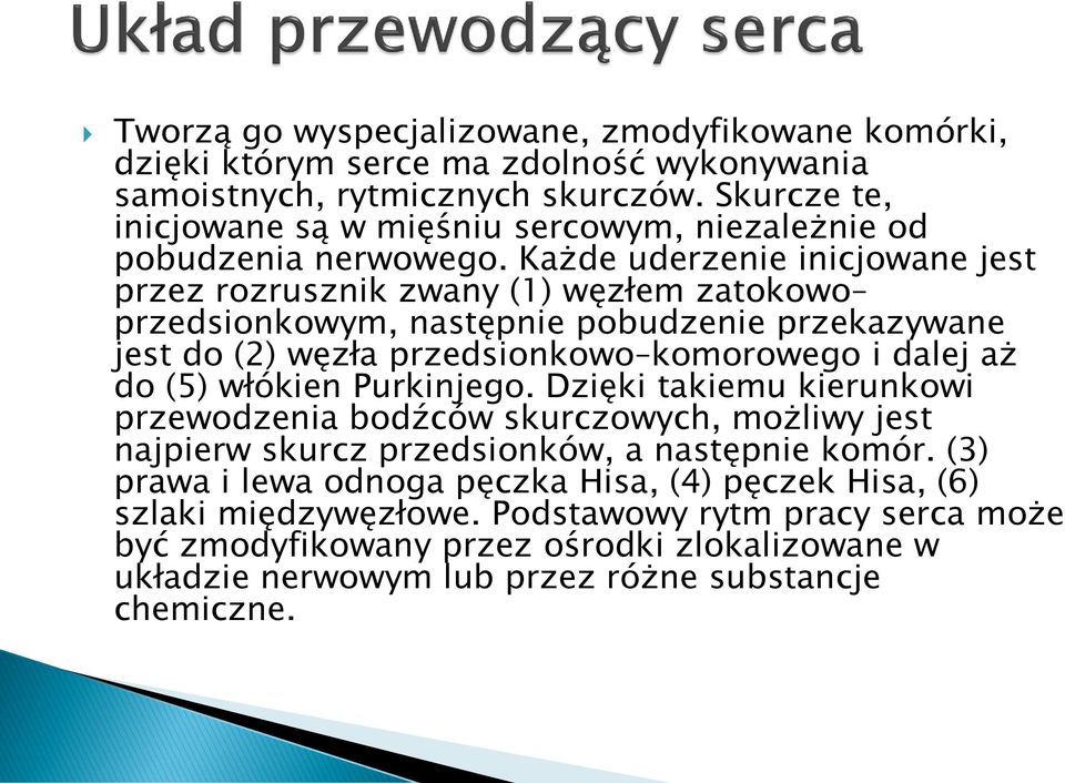 Każde uderzenie inicjowane jest przez rozrusznik zwany (1) węzłem zatokowo przedsionkowym, następnie pobudzenie przekazywane jest do (2) węzła przedsionkowo komorowego i dalej aż do (5)