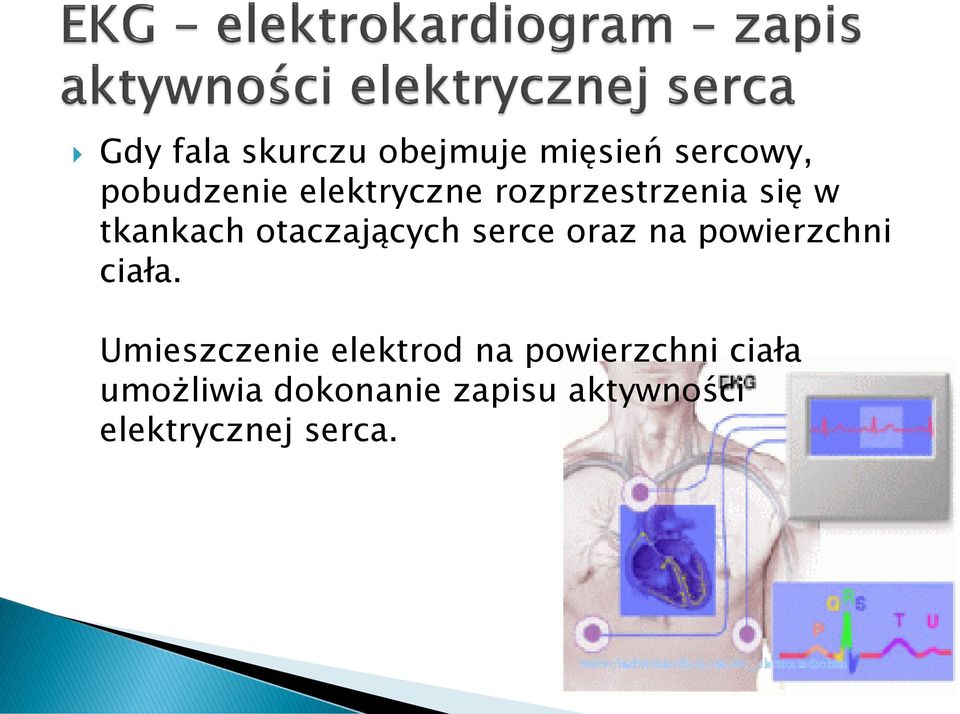 serce oraz na powierzchni ciała.