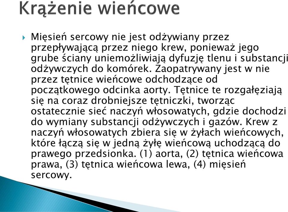 Tętnice te rozgałęziają się na coraz drobniejsze tętniczki, tworząc ostatecznie sieć naczyń włosowatych, gdzie dochodzi do wymiany substancji odżywczych i