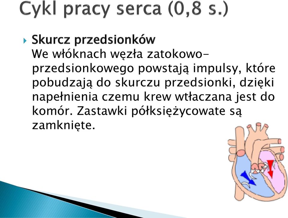 pobudzają do skurczu przedsionki, dzięki napełnienia