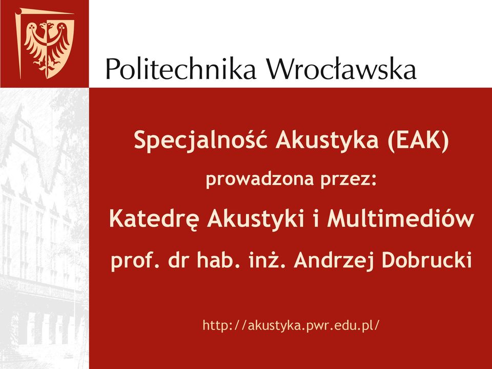 i Multimediów prof. dr hab. inż.