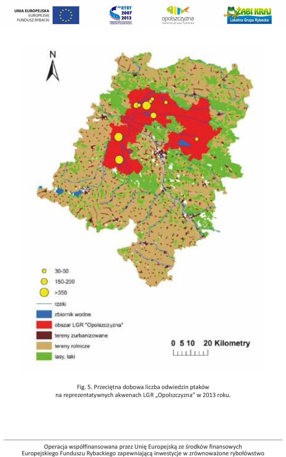 odwiedzin ptaków na