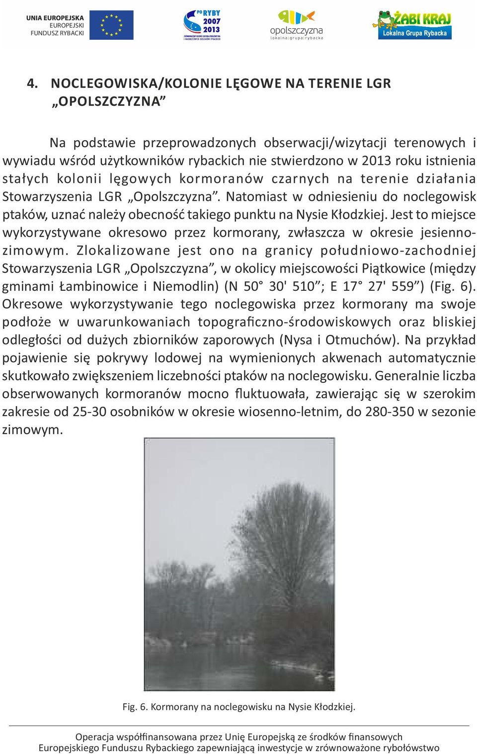 Natomiast w odniesieniu do noclegowisk ptaków, uznać należy obecność takiego punktu na Nysie Kłodzkiej. Jest to miejsce wykorzystywane okresowo przez kormorany, zwłaszcza w okresie jesiennozimowym.