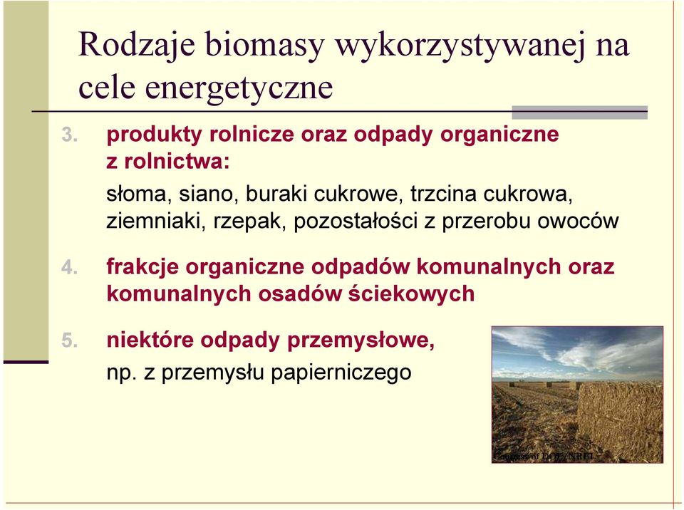 cukrowa, ziemniaki, rzepak, pozostałości z przerobu owoców 4.