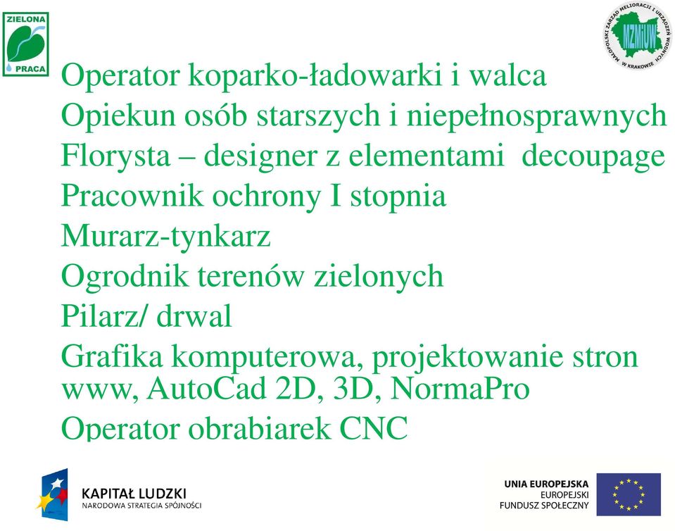 ochrony I stopnia Murarz-tynkarz Ogrodnik terenów zielonych Pilarz/ drwal