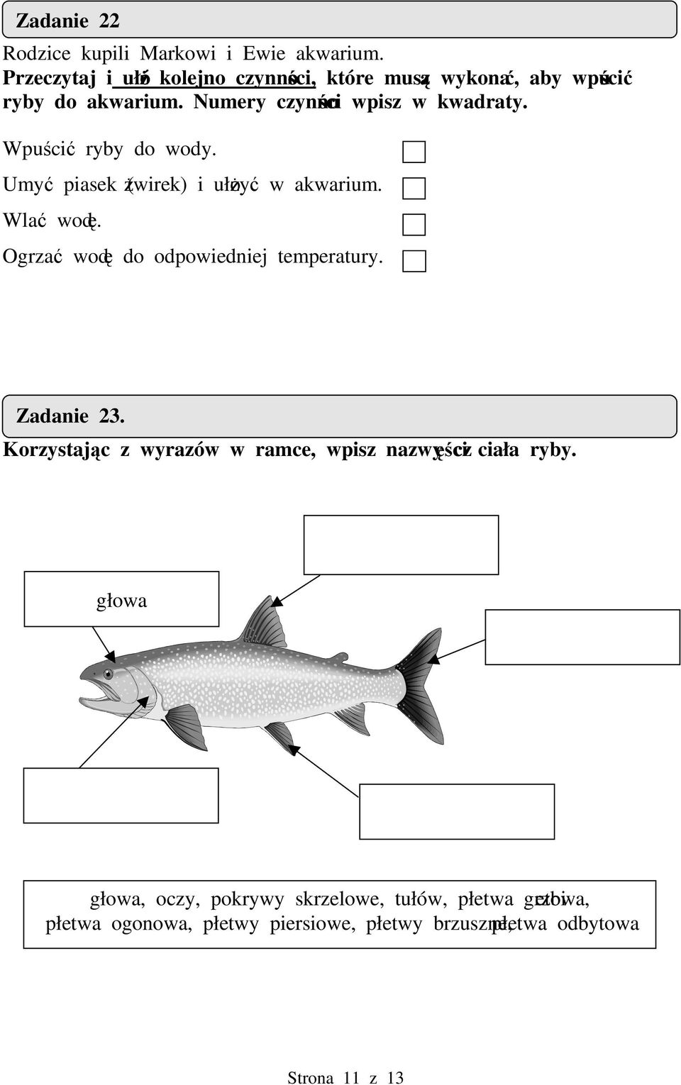 Wpuci ryby do wody. Umy piasek (wirek) i ułoy w akwarium. Wla wod. Ogrza wod do odpowiedniej temperatury. Zadanie 23.