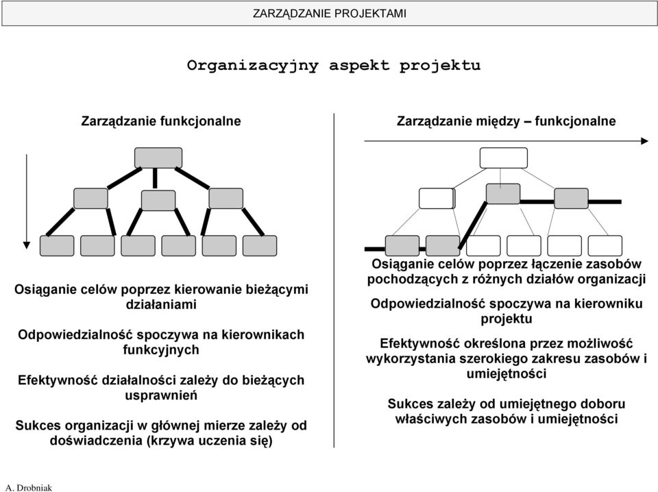 doświadczenia (krzywa uczenia się) Osiąganie celów poprzez łączenie zasobów pochodzących z różnych działów organizacji Odpowiedzialność spoczywa na