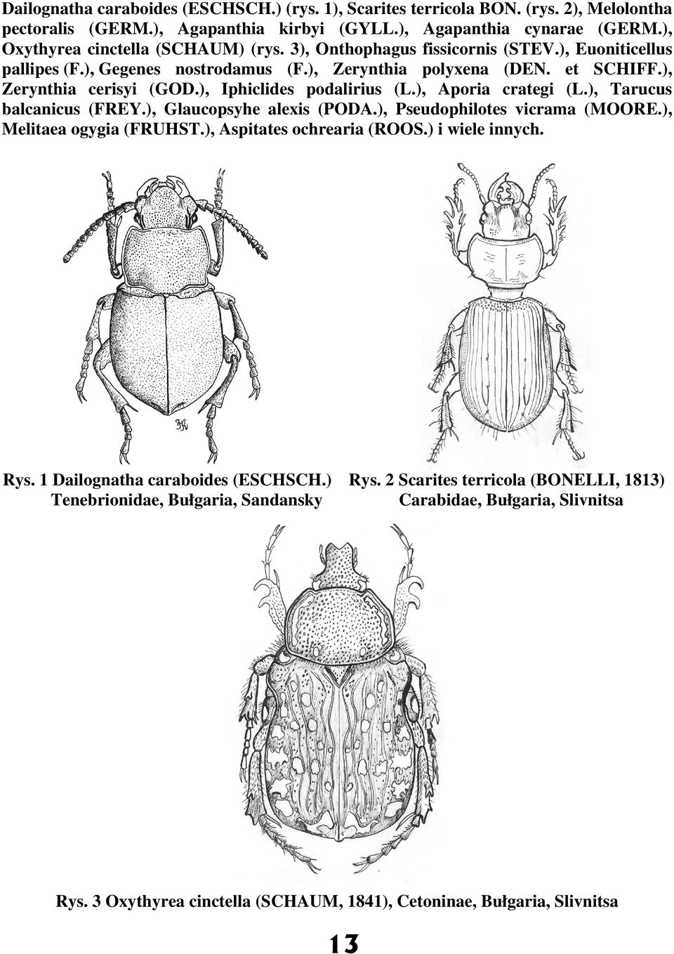 ), Iphiclides podalirius (L.), Aporia crategi (L.), Tarucus balcanicus (FREY.), Glaucopsyhe alexis (PDA.), Pseudophilotes vicrama (MRE.), Melitaea ogygia (FRUHST.), Aspitates ochrearia (RS.