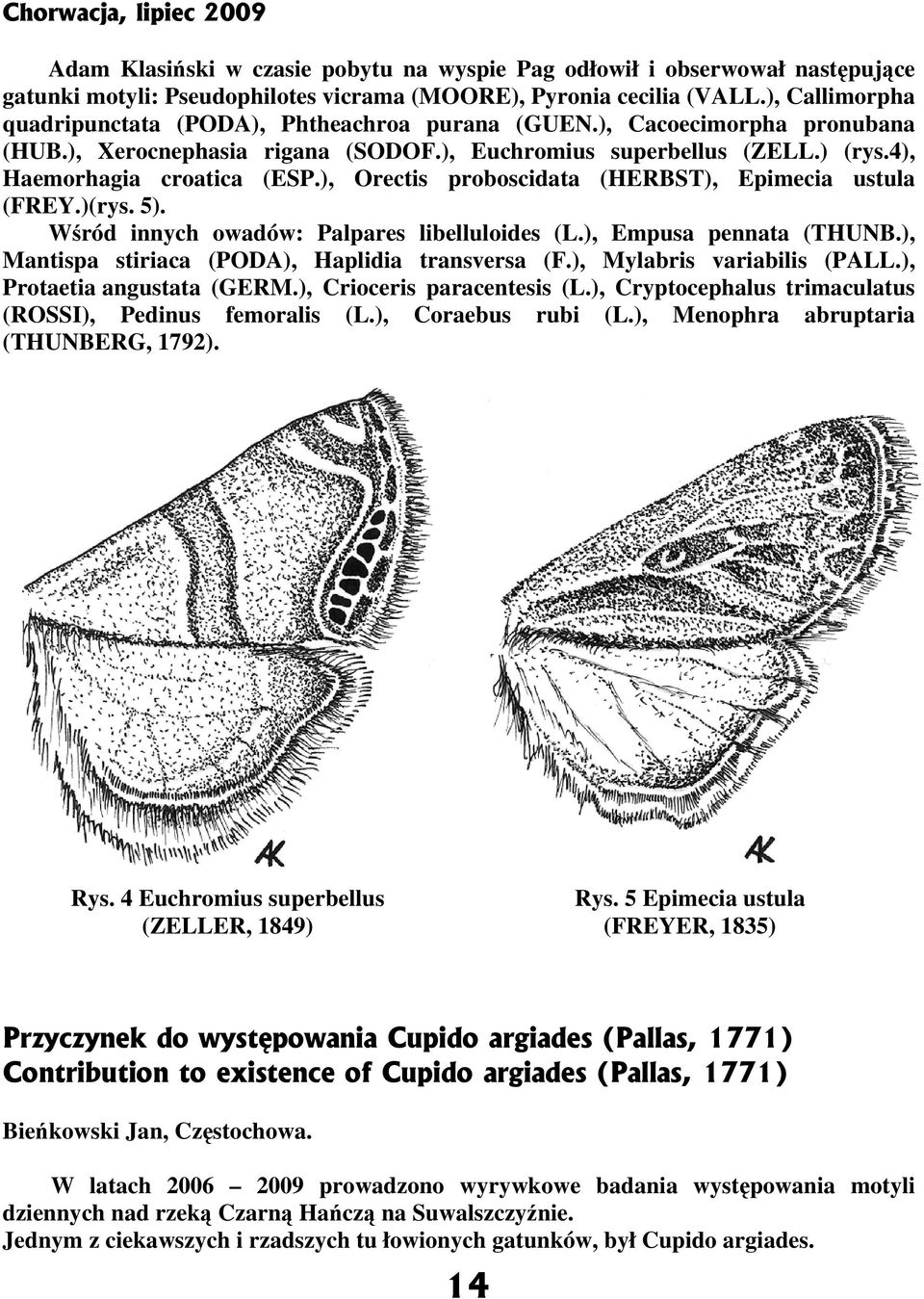 ), rectis proboscidata (HERBST), Epimecia ustula (FREY.)(rys. 5). Wśród innych owadów: Palpares libelluloides (L.), Empusa pennata (THUNB.), Mantispa stiriaca (PDA), Haplidia transversa (F.