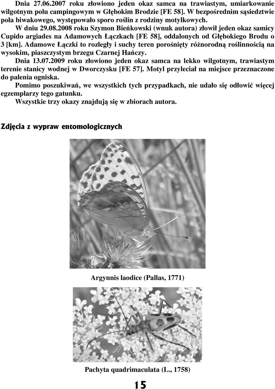 2008 roku Szymon Bieńkowski (wnuk autora) złowił jeden okaz samicy Cupido argiades na Adamowych Łączkach [FE 58], oddalonych od Głębokiego Brodu o 3 [km].