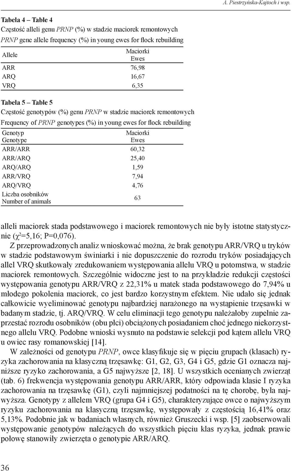 Tabela 5 Table 5 Częstość genotypów (%) genu PRNP w stadzie maciorek remontowych Frequency of PRNP genotypes (%) in young ewes for flock rebuilding Genotyp Genotype Maciorki Ewes ARR/ARR 60,32