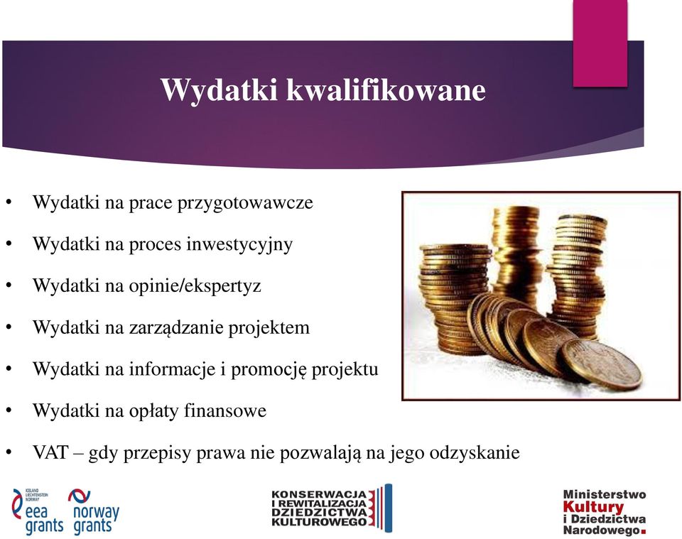 zarządzanie projektem Wydatki na informacje i promocję projektu