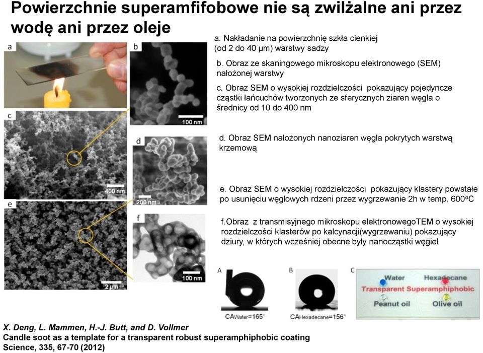 Obraz SEM o wysokiej rozdzielczości pokazujący pojedyncze cząstki łańcuchów tworzonych ze sferycznych ziaren węgla o średnicy od 10 do 400 nm d.