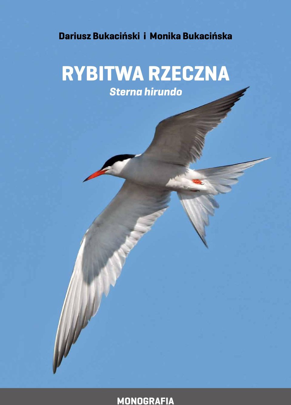 RYBITWA RZECZNA