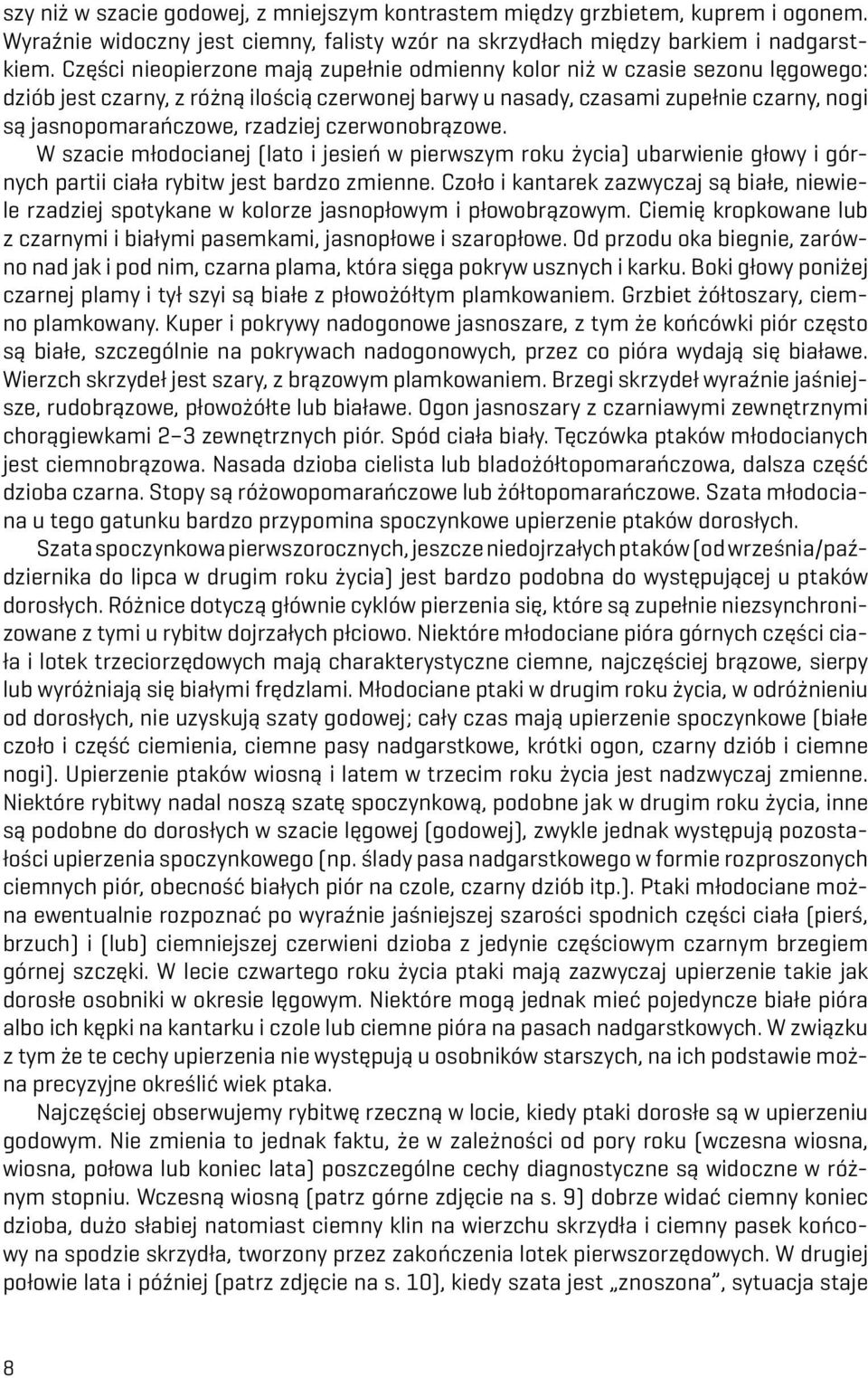 rzadziej czerwonobrązowe. W szacie młodocianej (lato i jesień w pierwszym roku życia) ubarwienie głowy i górnych partii ciała rybitw jest bardzo zmienne.