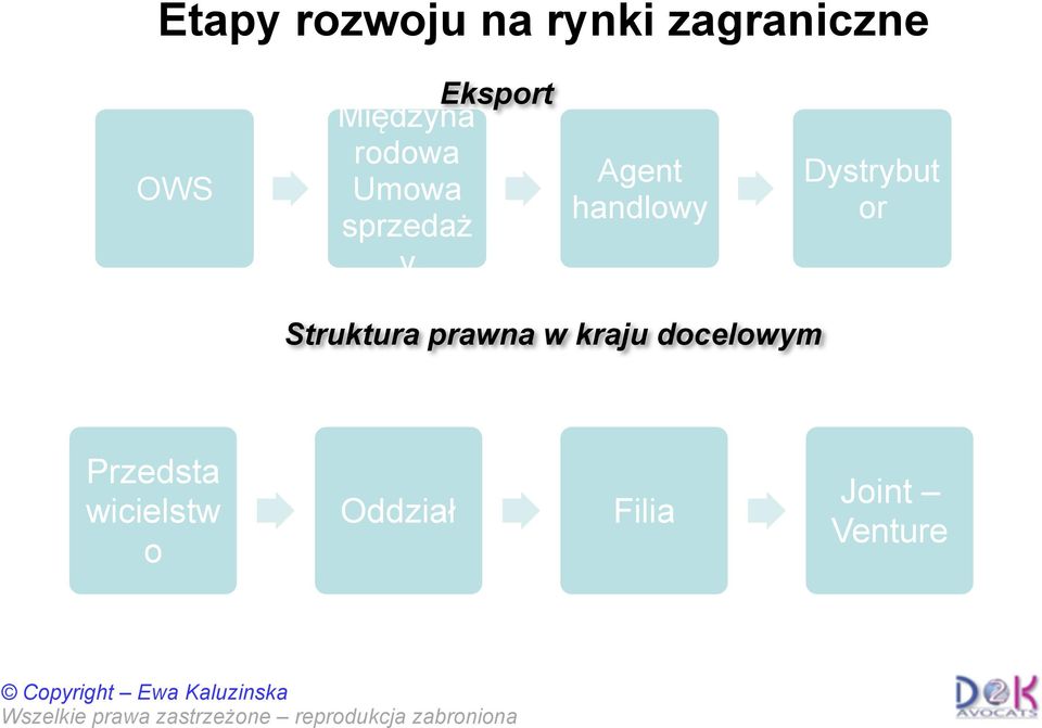 kraju docelowym Przedsta wicielstw o Oddział Filia Joint Venture