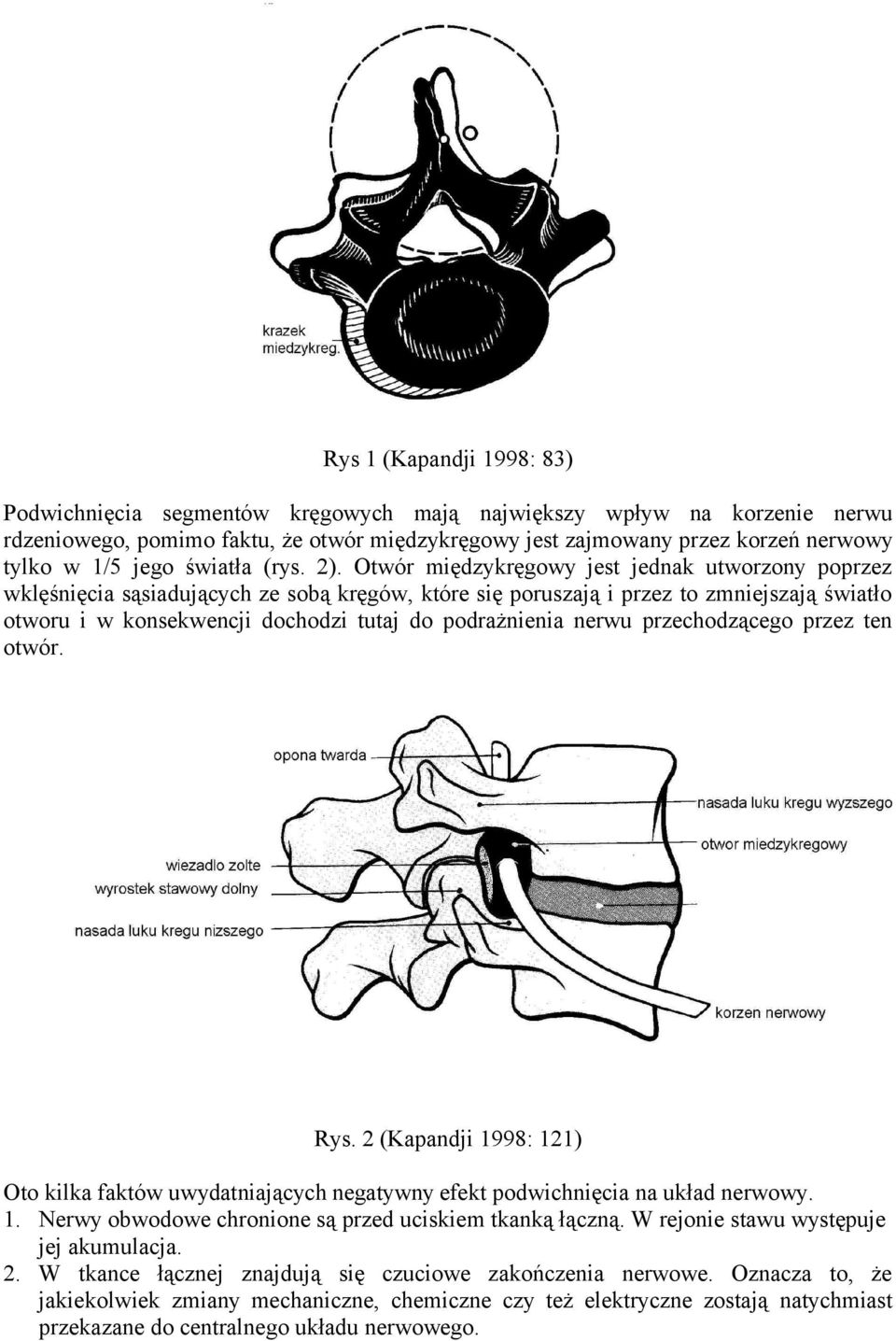 Otwór międzykręgowy jest jednak utworzony poprzez wklęśnięcia sąsiadujących ze sobą kręgów, które się poruszają i przez to zmniejszają światło otworu i w konsekwencji dochodzi tutaj do podrażnienia