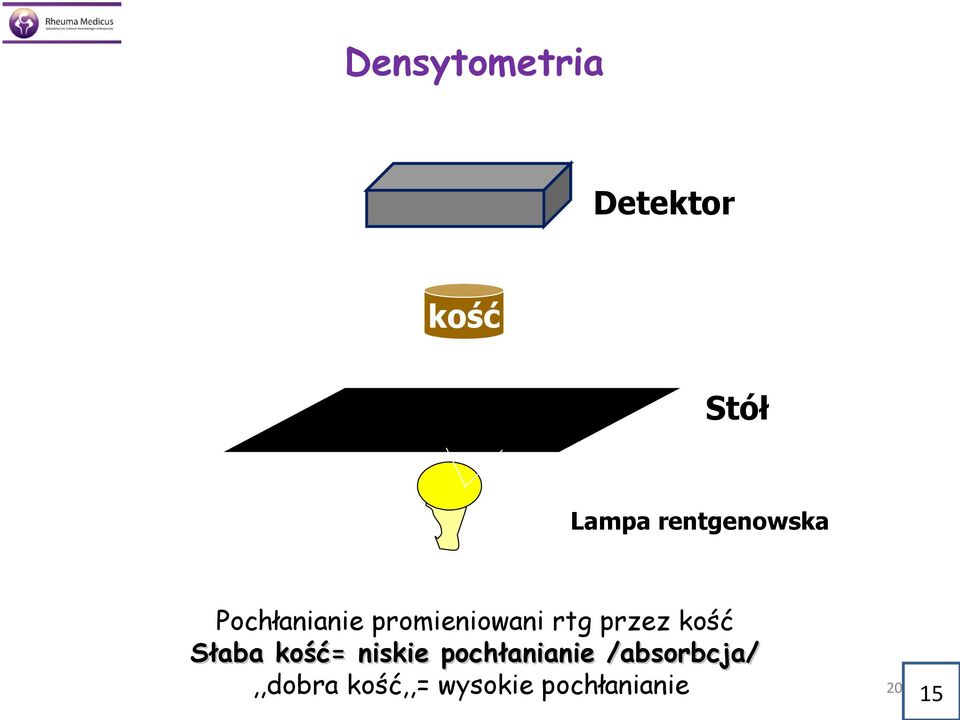 przez kość Słaba kość= niskie pochłanianie