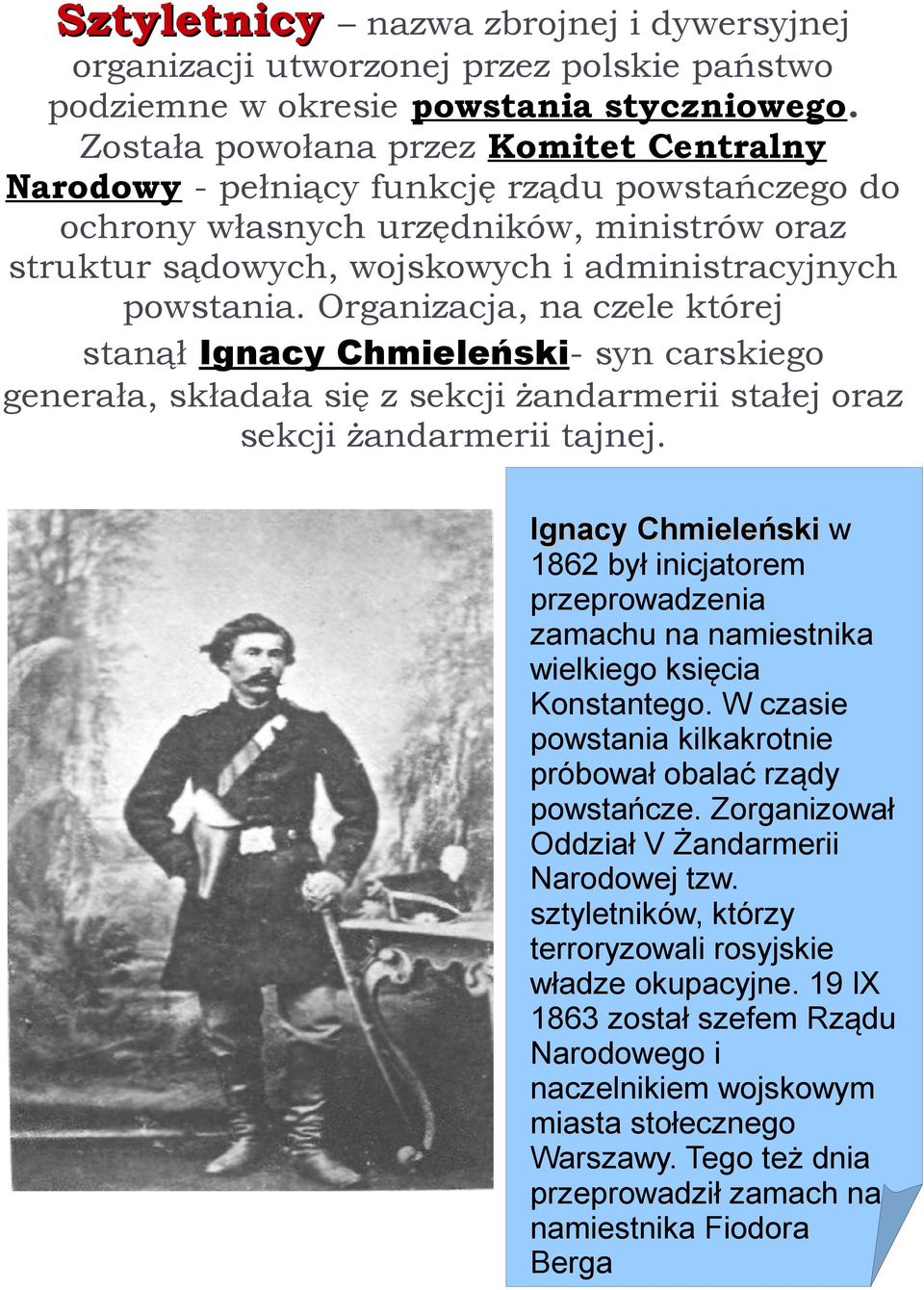 Organizacja, na czele której stanął Ignacy Chmieleński- syn carskiego generała, składała się z sekcji żandarmerii stałej oraz sekcji żandarmerii tajnej.