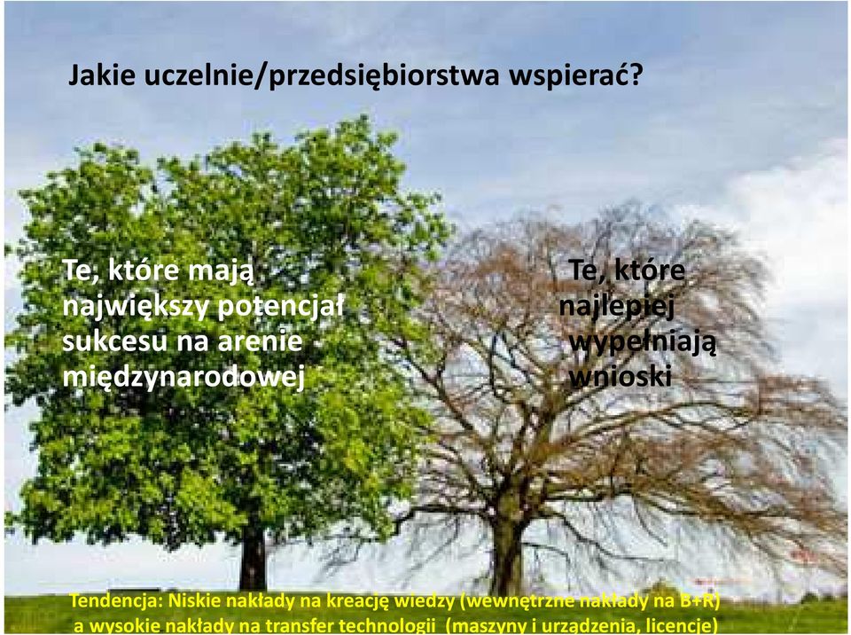 które najlepiej wypełniają wnioski Tendencja: Niskie nakłady na kreację