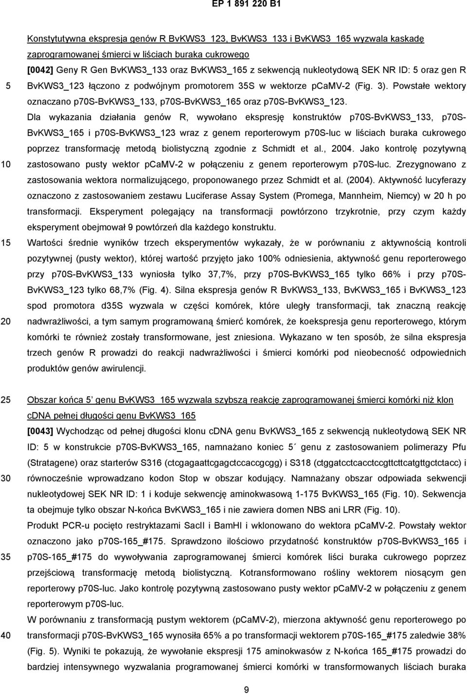 Dla wykazania działania genów R, wywołano ekspresję konstruktów p70s-bvkws3_133, p70s- BvKWS3_16 i p70s-bvkws3_123 wraz z genem reporterowym p70s-luc w liściach buraka cukrowego poprzez transformację