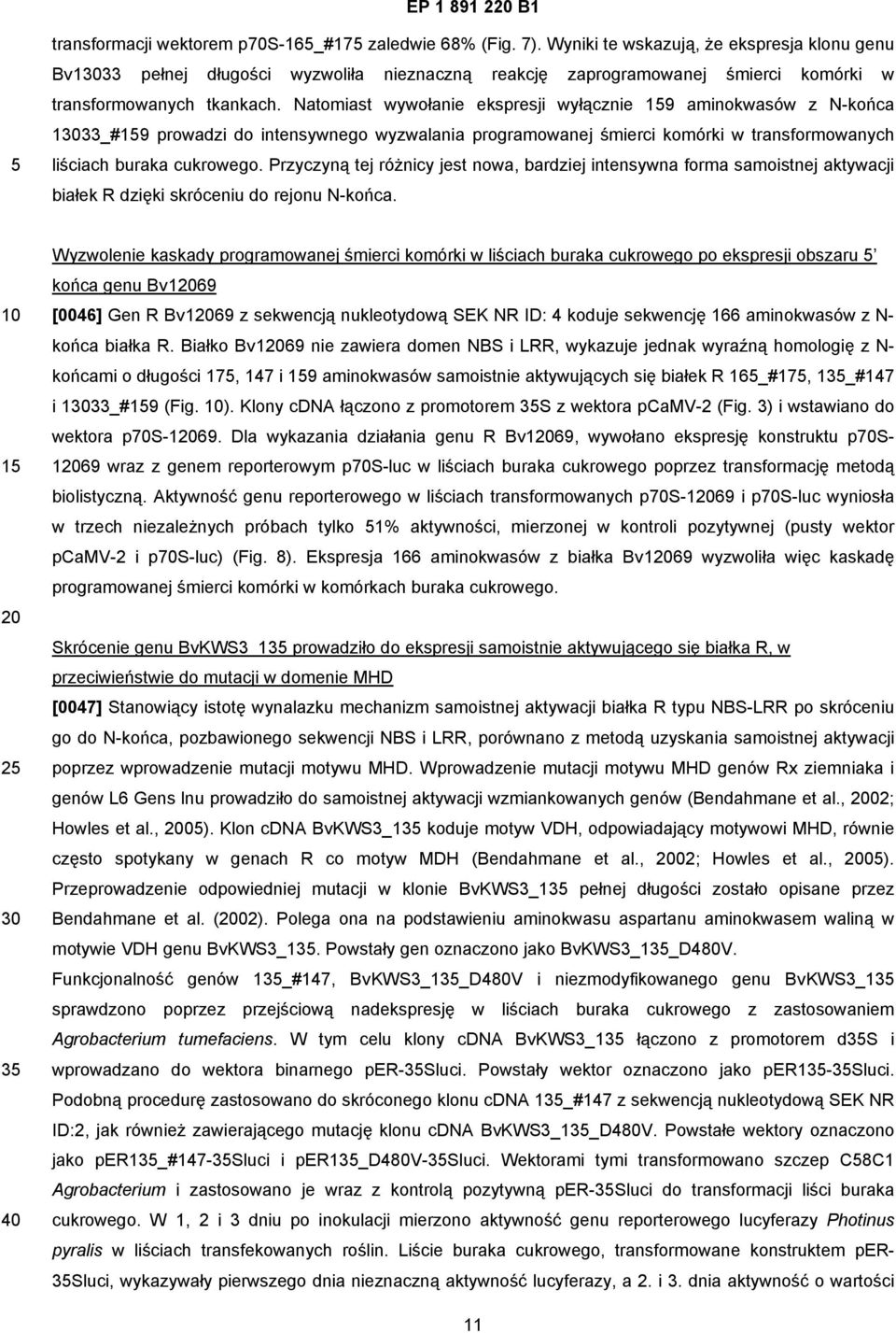 Natomiast wywołanie ekspresji wyłącznie 19 aminokwasów z N-końca 13033_#19 prowadzi do intensywnego wyzwalania programowanej śmierci komórki w transformowanych liściach buraka cukrowego.