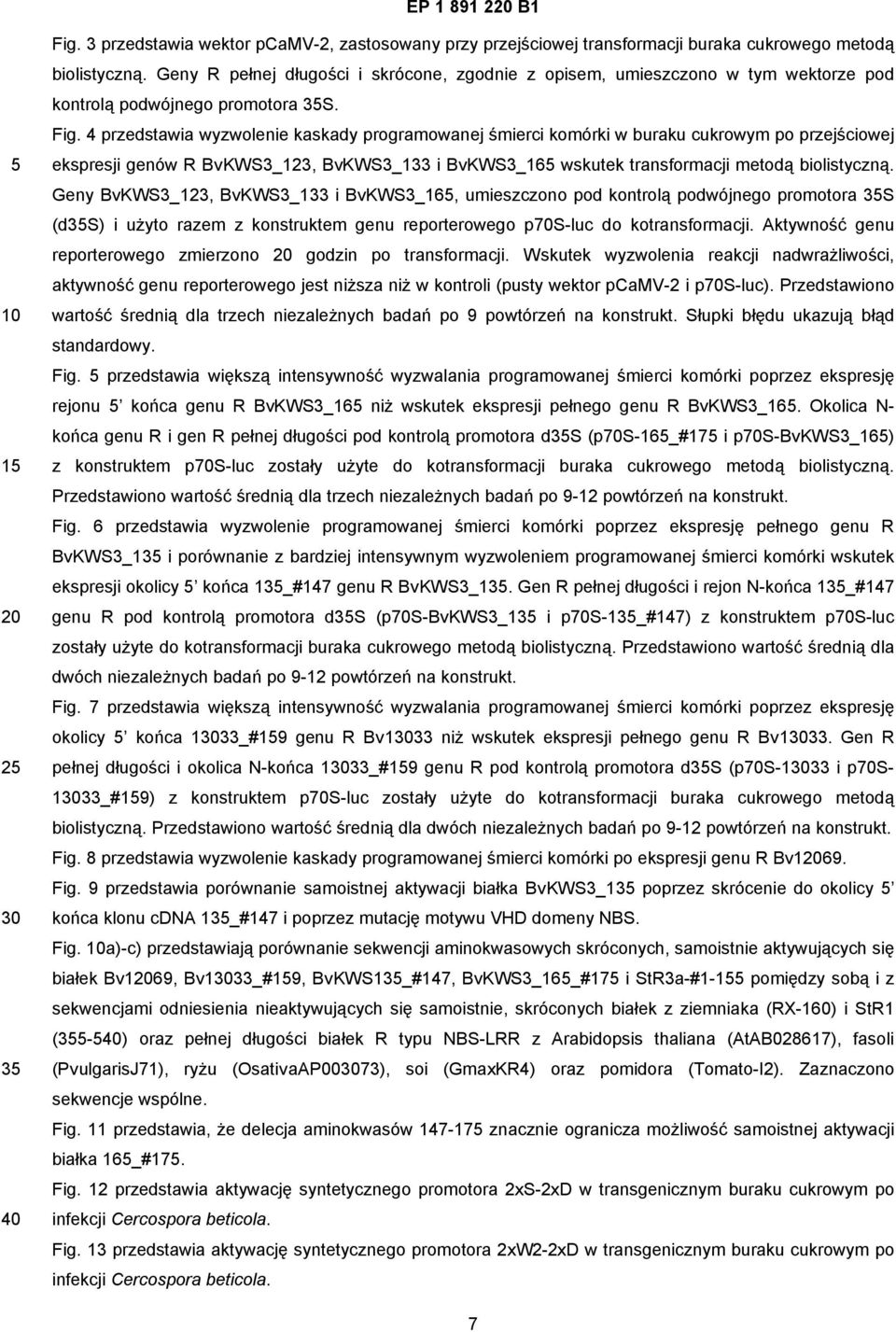 4 przedstawia wyzwolenie kaskady programowanej śmierci komórki w buraku cukrowym po przejściowej ekspresji genów R BvKWS3_123, BvKWS3_133 i BvKWS3_16 wskutek transformacji metodą biolistyczną.