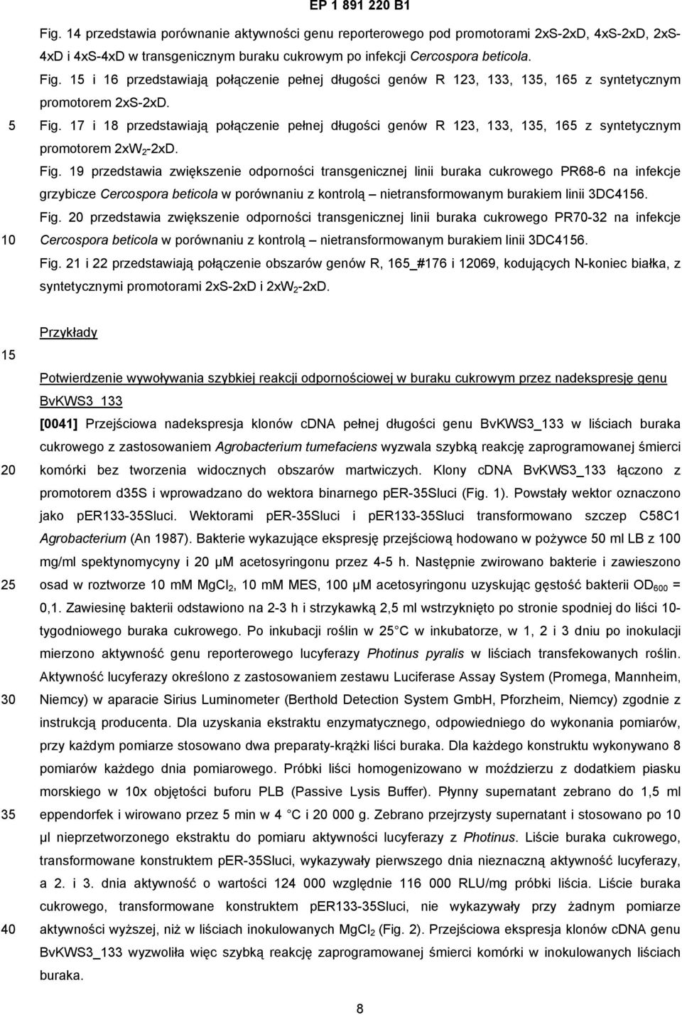 17 i 18 przedstawiają połączenie pełnej długości genów R 123, 133, 13, 16 z syntetycznym promotorem 2xW 2-2xD. Fig.