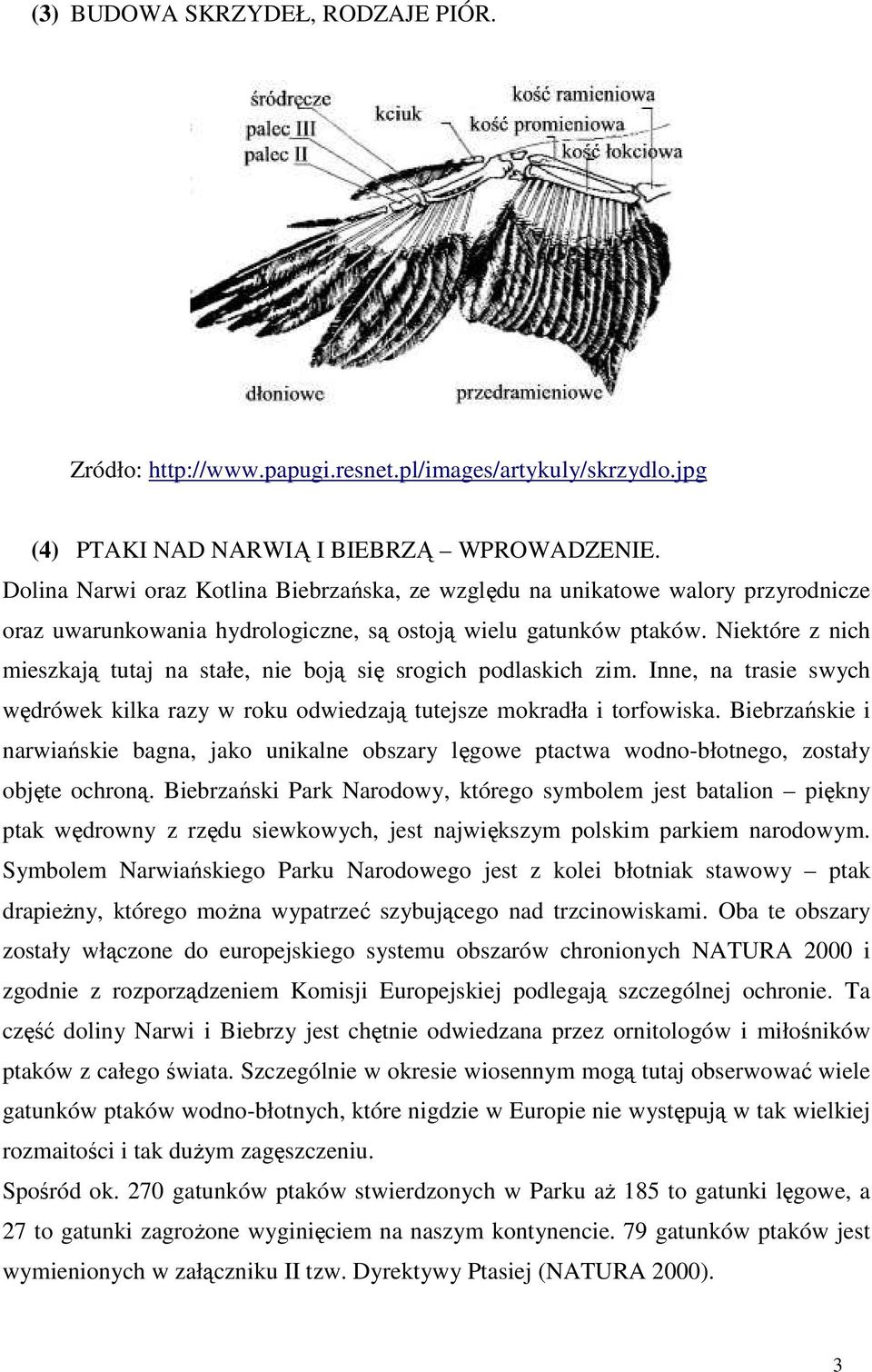 Niektóre z nich mieszkają tutaj na stałe, nie boją się srogich podlaskich zim. Inne, na trasie swych wędrówek kilka razy w roku odwiedzają tutejsze mokradła i torfowiska.