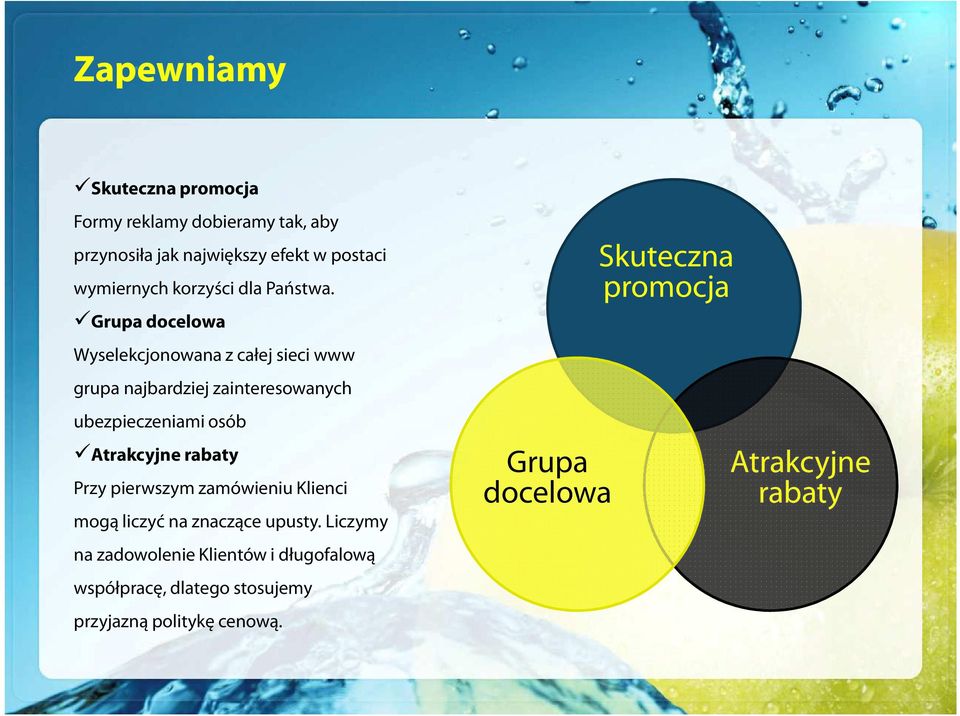 Grupa docelowa Wyselekcjonowana z całej sieci www grupa najbardziej zainteresowanych ubezpieczeniami osób Atrakcyjne