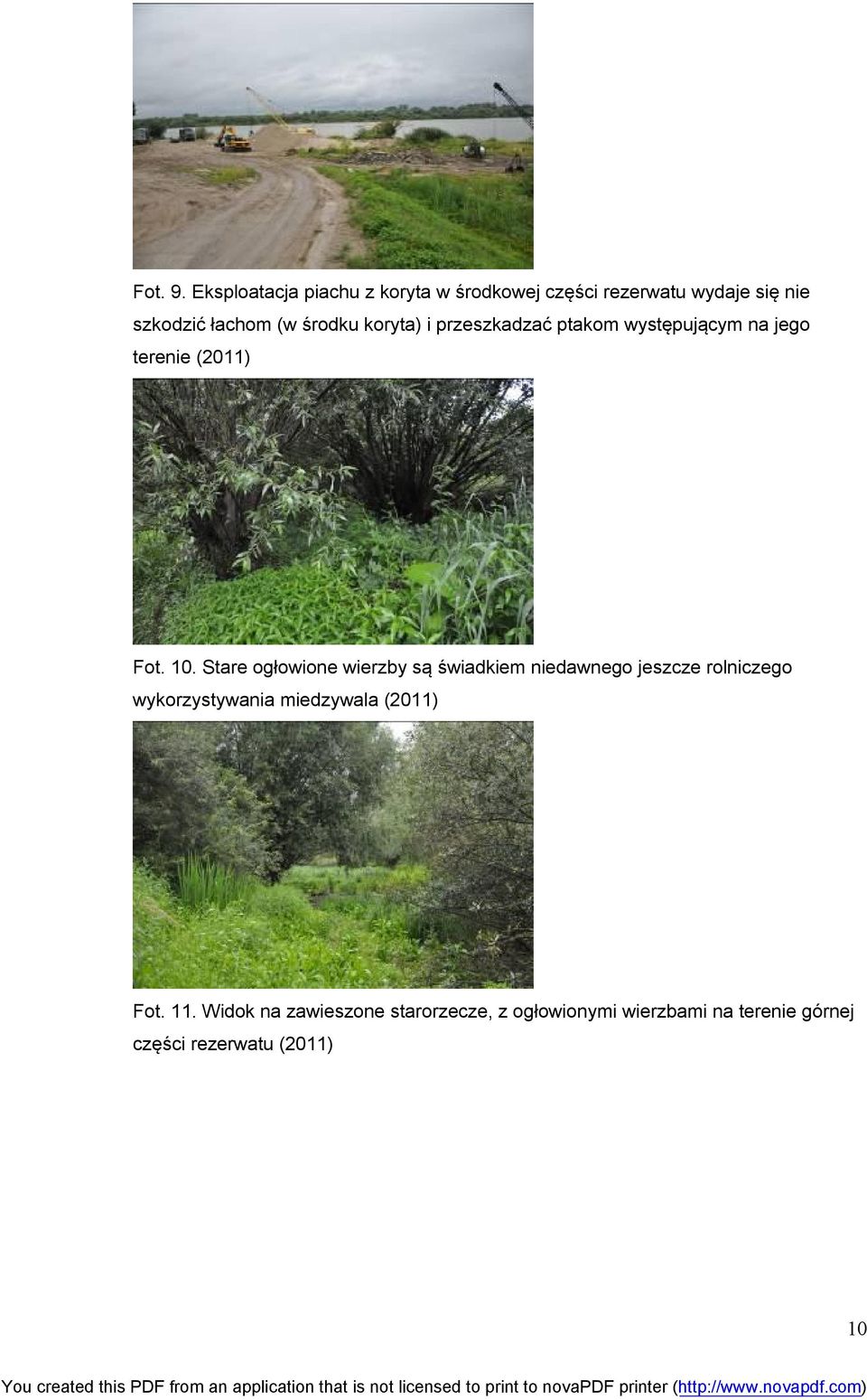 koryta) i przeszkadzać ptakom występującym na jego terenie (2011) Fot. 10.