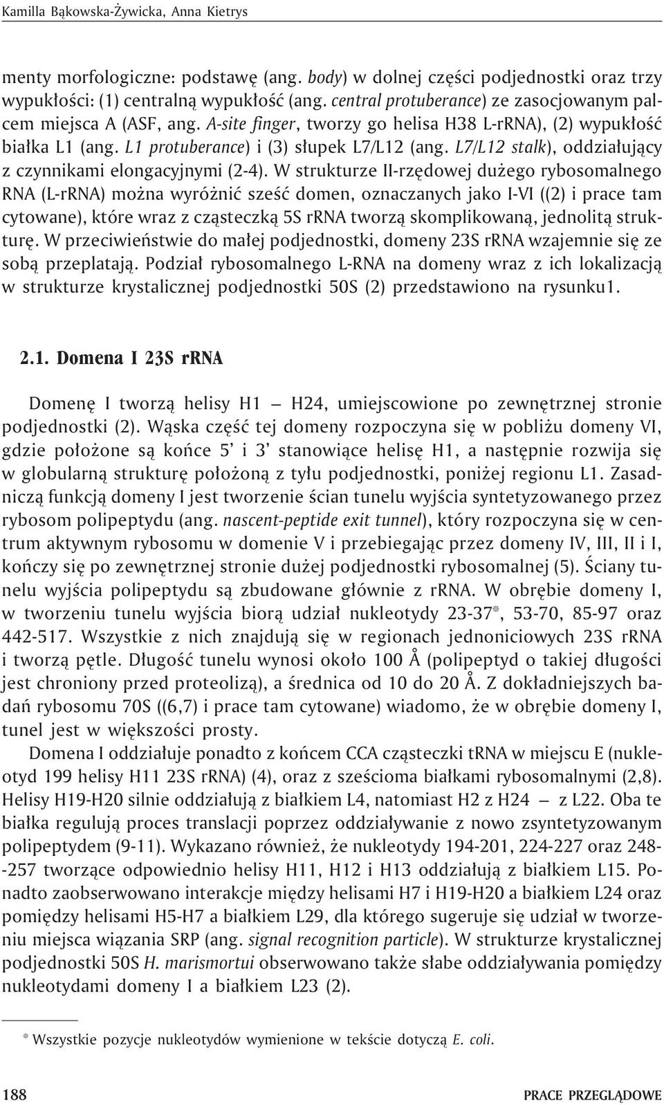 L7/L12 stalk), oddzia³uj¹cy z czynnikami elongacyjnymi (2-4).