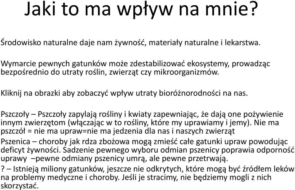 Pszczoły Pszczoły zapylają rośliny i kwiaty zapewniając, że dają one pożywienie innym zwierzętom (włączając w to rośliny, które my uprawiamy i jemy).