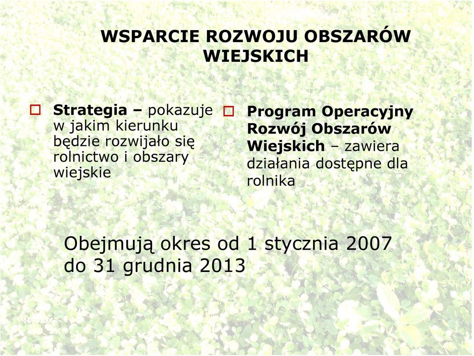 Program Operacyjny Rozwój Obszarów Wiejskich zawiera działania