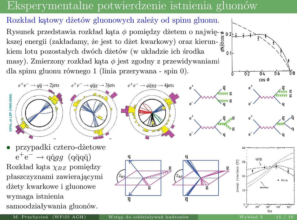 układzie ich środka masy). Zmierzony rozkład kąta φ jest zodny z przewidywaniami dla spinu luonu równeo 1 (linia przerywana spin 0).