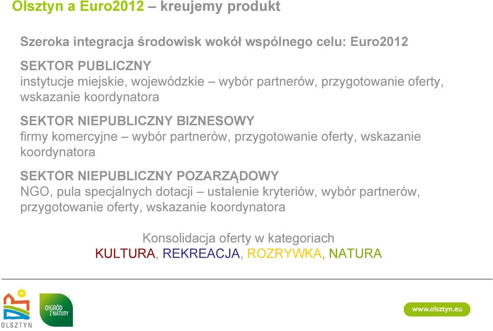 wybór partnerów, przygotowanie oferty, wskazanie koordynatora SEKTOR NIEPUBLICZNY POZARZĄDOWY NGO, pula specjalnych dotacji