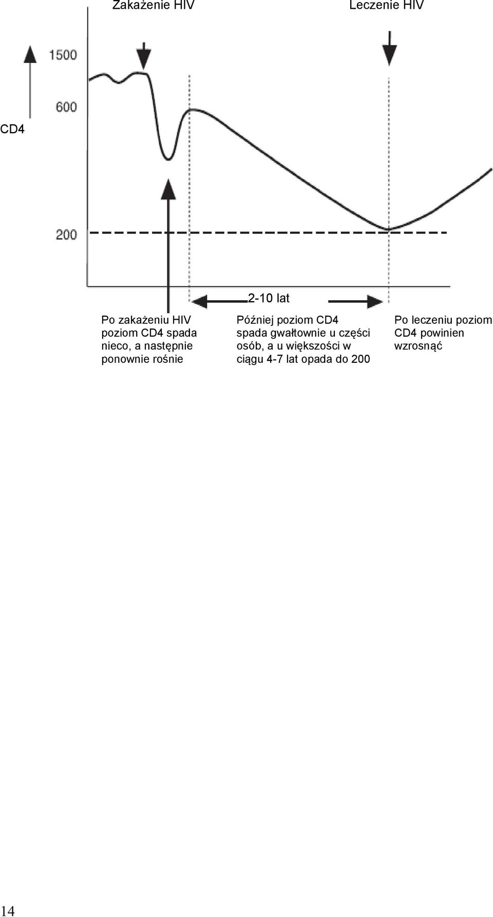 poziom CD4 spada gwałtownie u części osób, a u większości w
