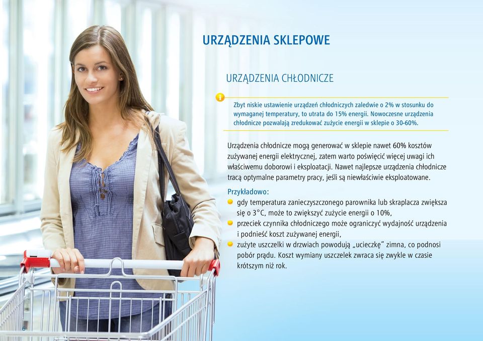 Urządzenia chłodnicze mogą generować w sklepie nawet 60% kosztów zużywanej energii elektrycznej, zatem warto poświęcić więcej uwagi ich właściwemu doborowi i eksploatacji.