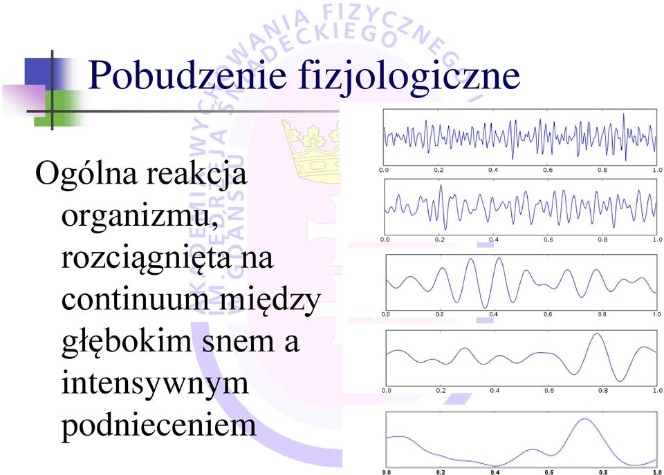 rozciągnięta na continuum