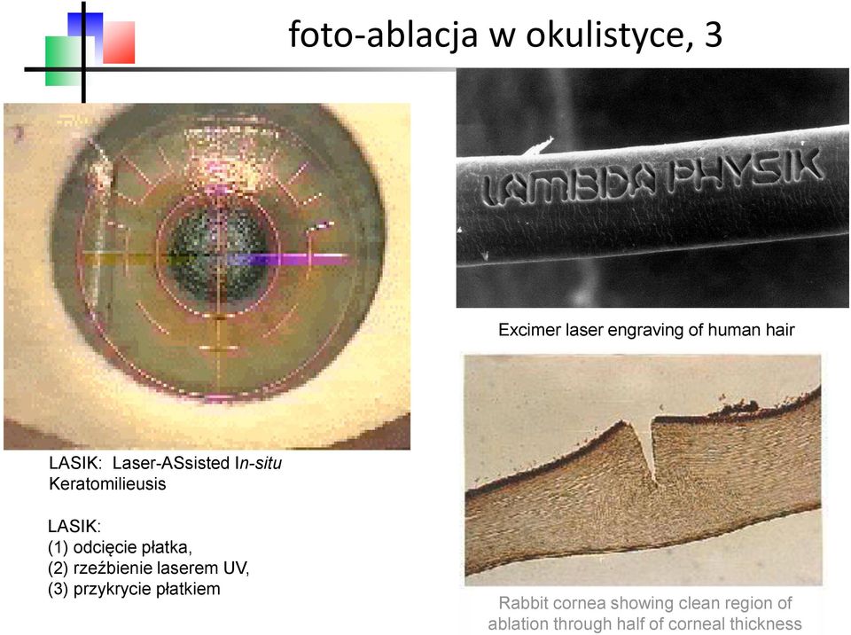 płatka, (2) rzeźbienie laserem UV, (3) przykrycie płatkiem Rabbit