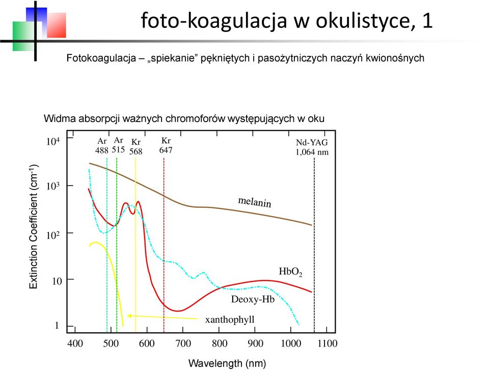 chromoforów występujących w oku 10 4 Ar 488 Ar 515 Kr 568 Kr 647 Nd-YAG 1,064 nm