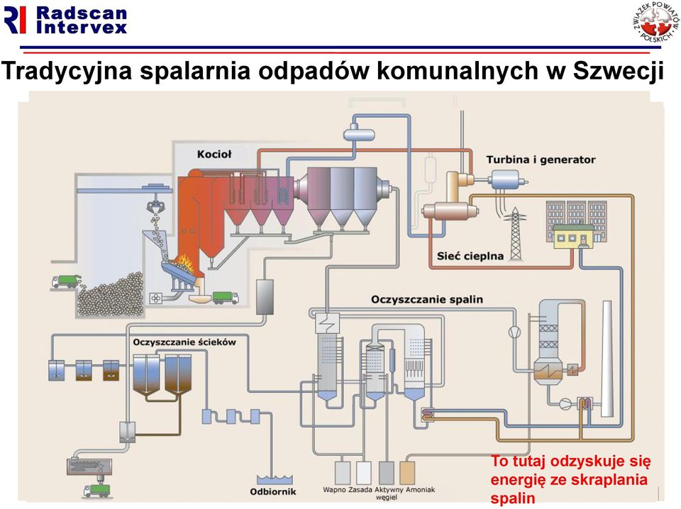 Szwecji To tutaj