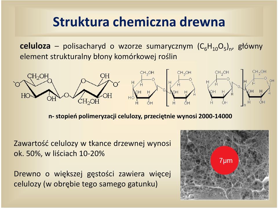 przeciętnie wynosi 2000-14000 Zawartość celulozy w tkance drzewnej wynosi ok.